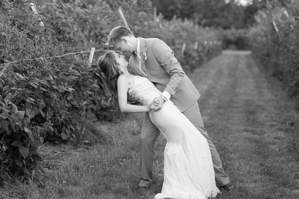 Blackberry field bride dip