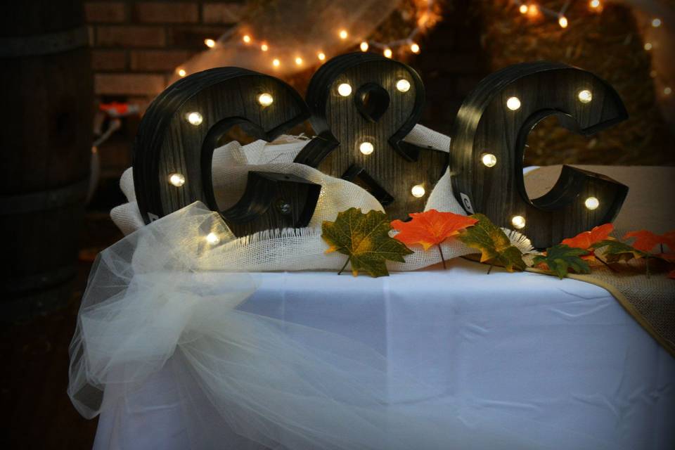 Oh Snap! Photography by Kimberly