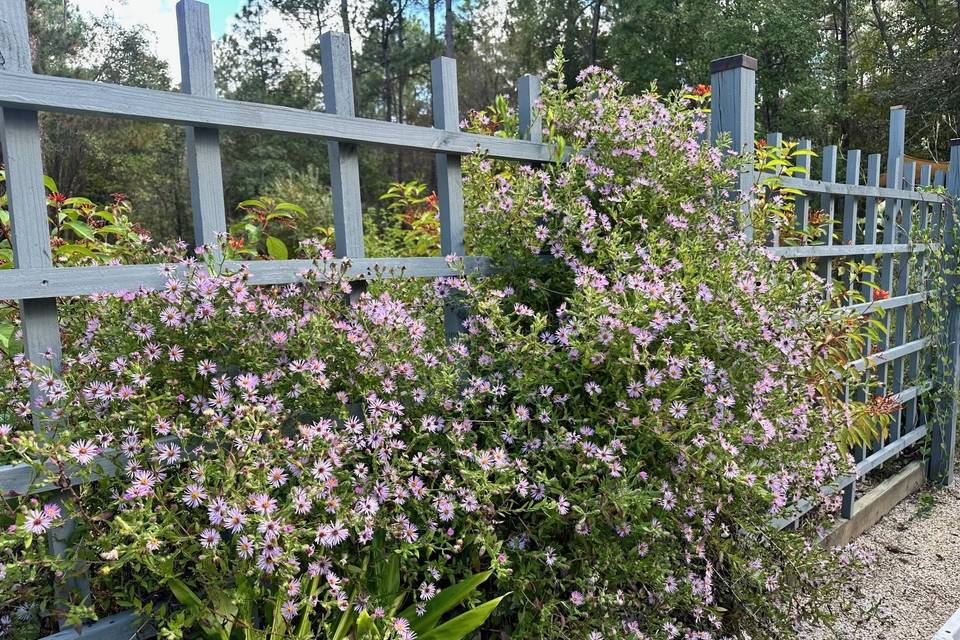 The Crosby Arboretum