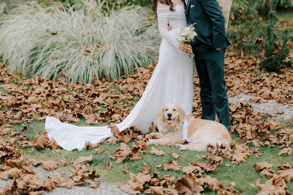 Dog Friendly Wedding Venue