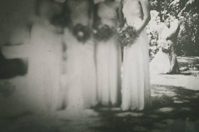 Frank Amodo Photography