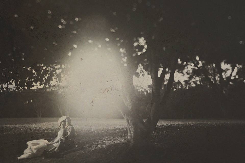 Frank Amodo Photography