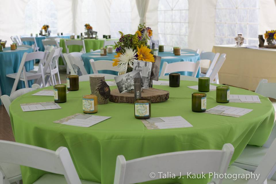 Talia J. Kauk Photography