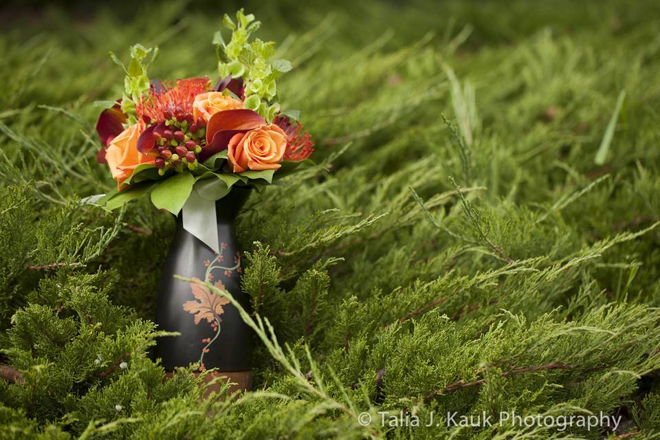 Talia J. Kauk Photography