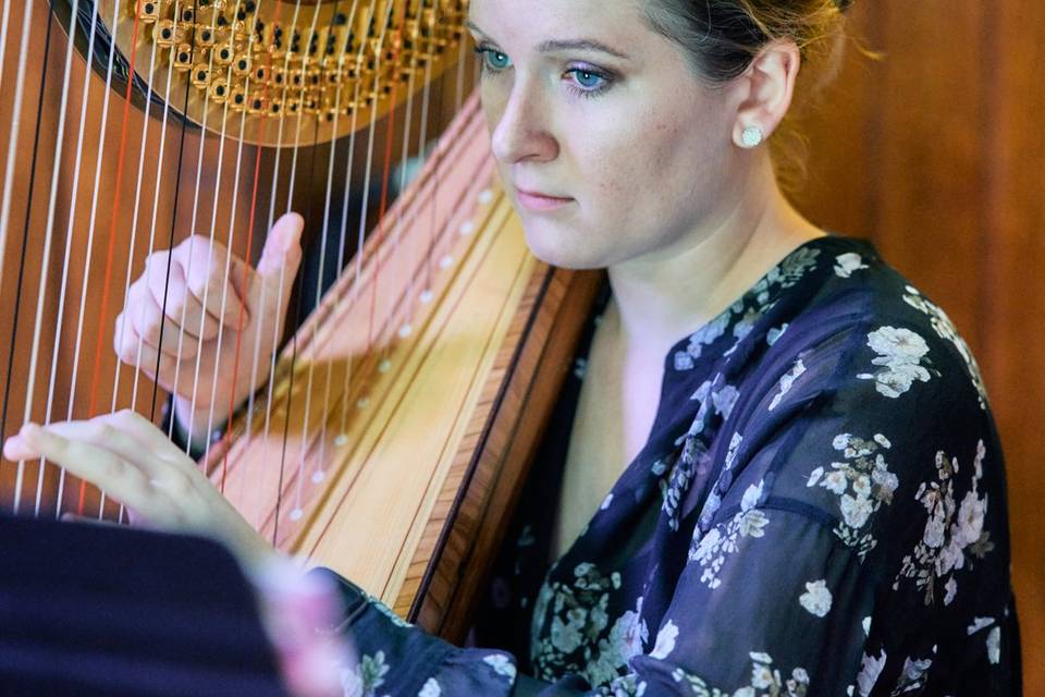 Emily Stone, Harpist