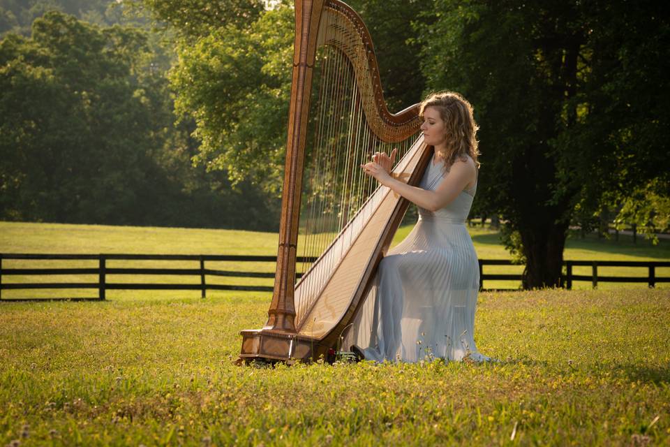 Emily Stone, Harpist