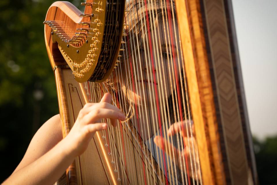 Emily Stone, Harpist