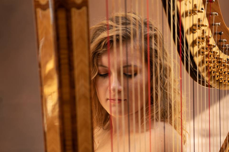 Emily Stone, Harpist