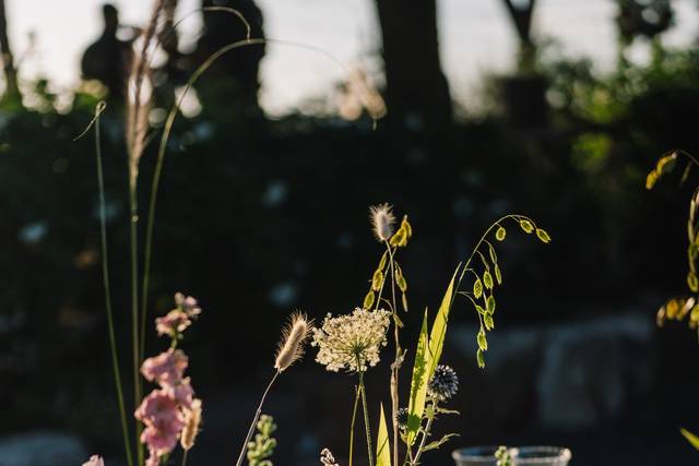 Ph:fabriziodidomenico