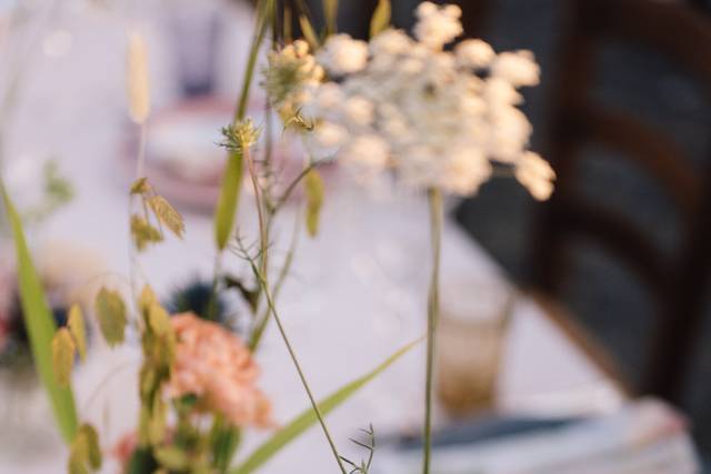 Ph:fabriziodidomenico