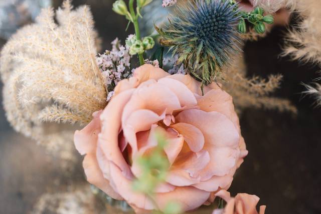 Ph:fabriziodidomenico