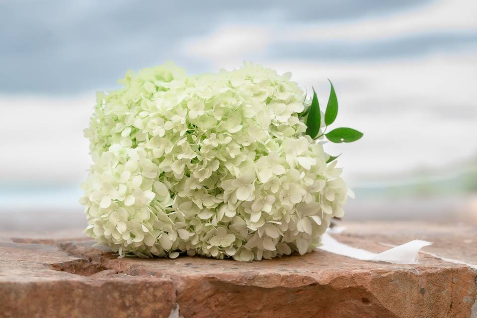 Fiori Liberi di Cristina Palumbo