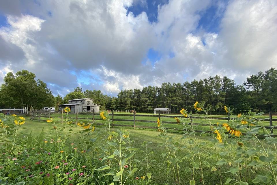 Greenlands Farm Barn