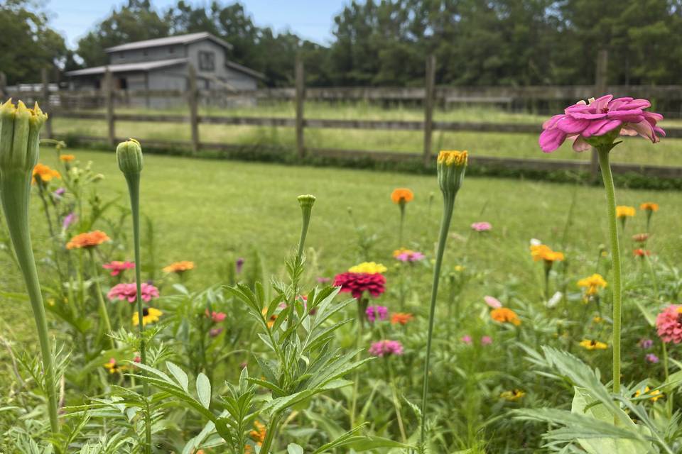 Greenlands Farm