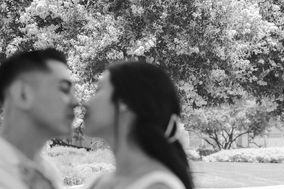 ADA Photography