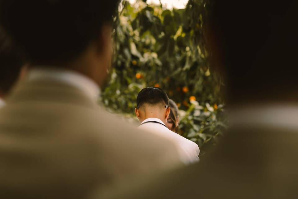 ADA Photography