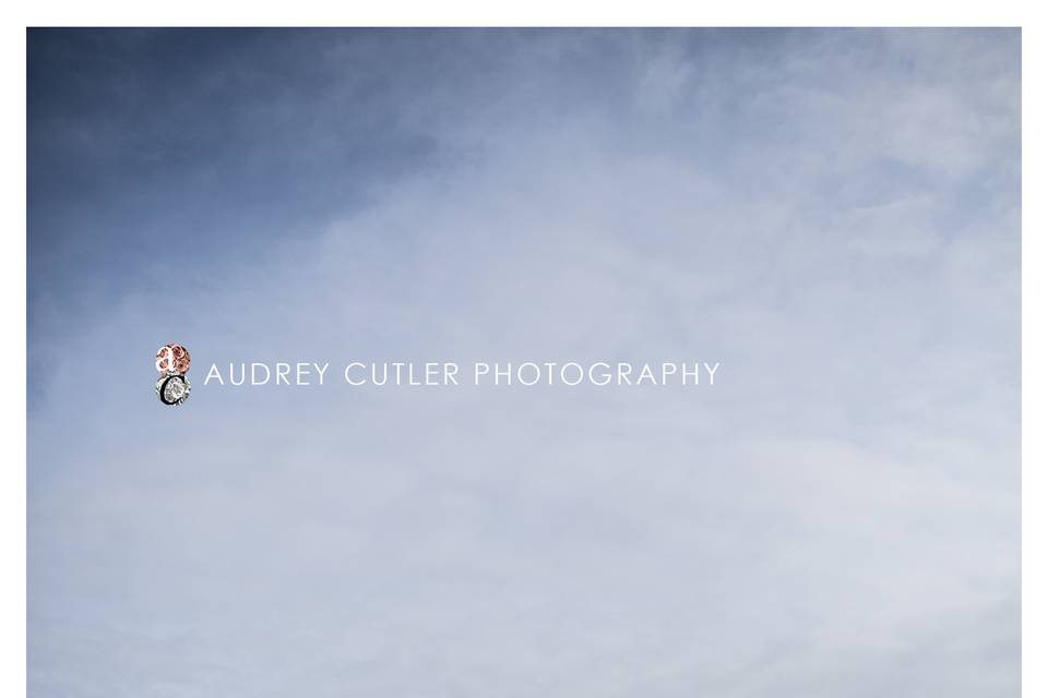 Audrey Cutler Photography & Cutler Photo Booths