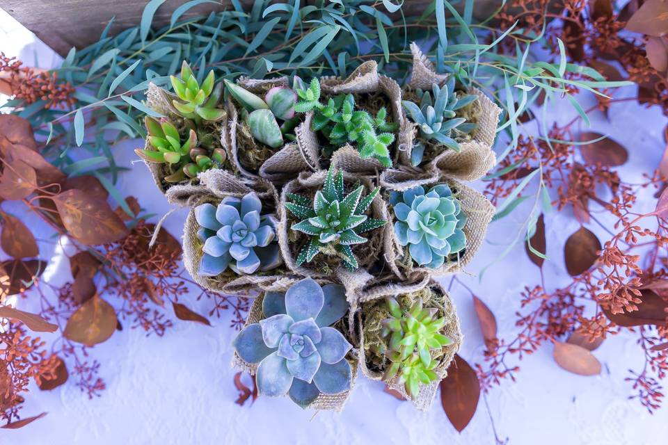 Fall for succulent favors