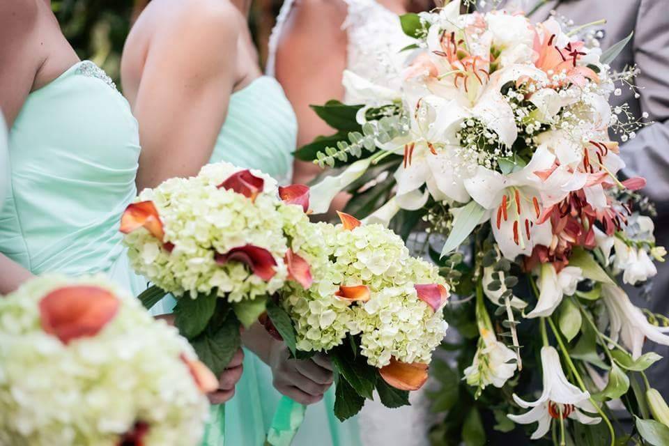 Ribeiro Events