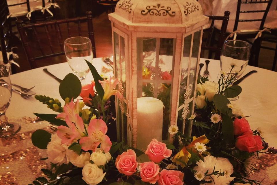 Ribeiro Events