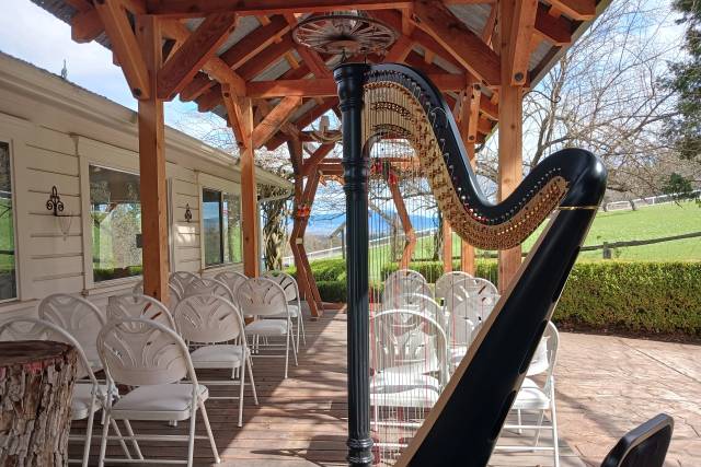 George Leverett, Harpist