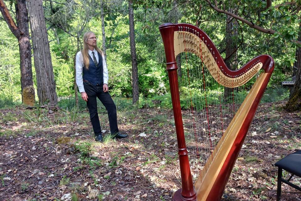 George Leverett, Harpist