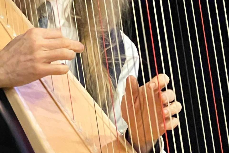 George Leverett, Harpist