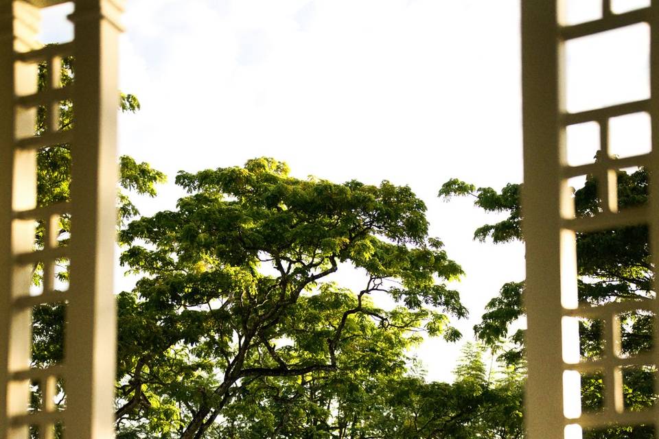 DSC00365.jpeg