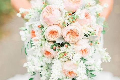 Lauren Day Photography