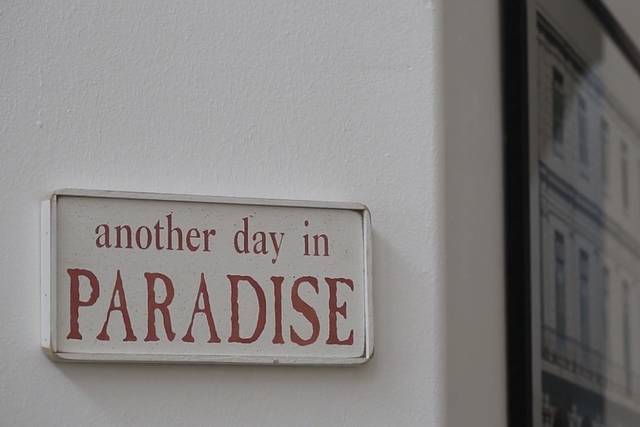 PARADISE