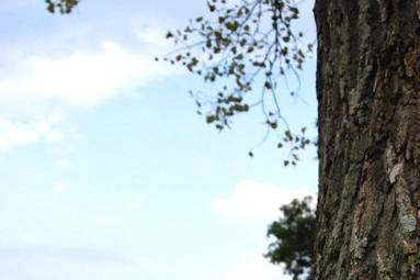 J&A Creative Wedding Photos
