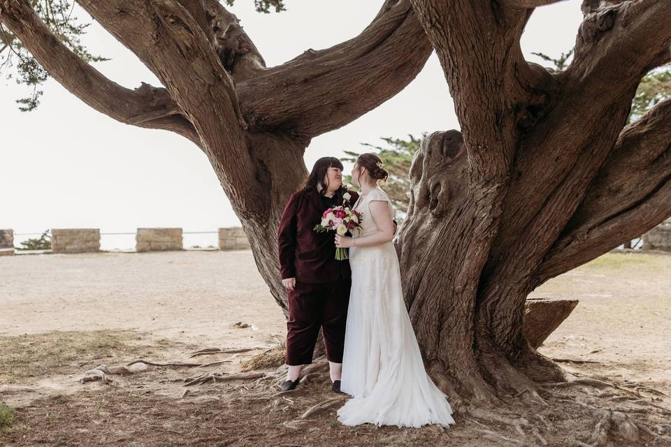 Beneath the tree