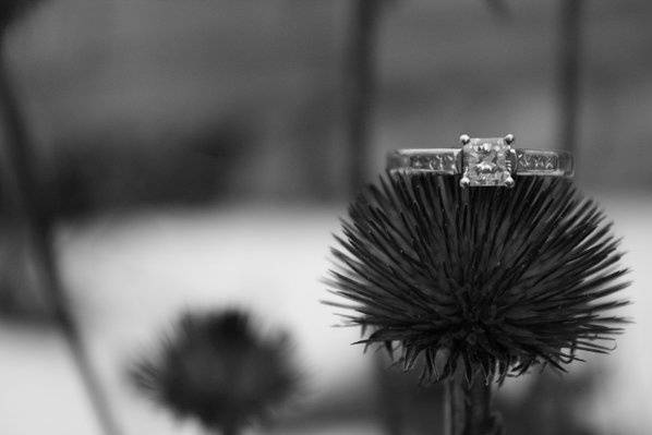 Engagement Shoot
