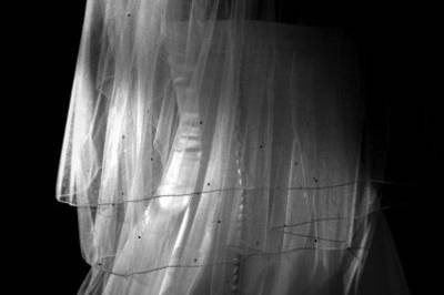 Ginny Jupp Photography
