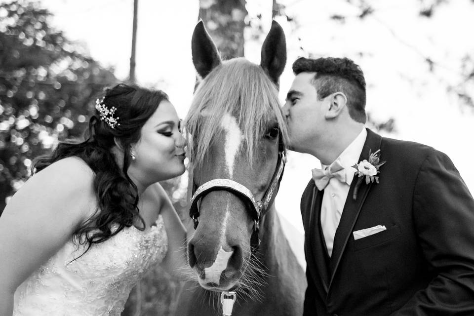 Horse love