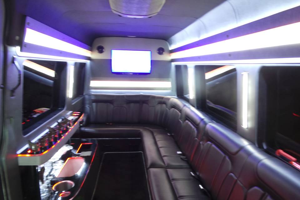 10 Passenger Sprinter Limo