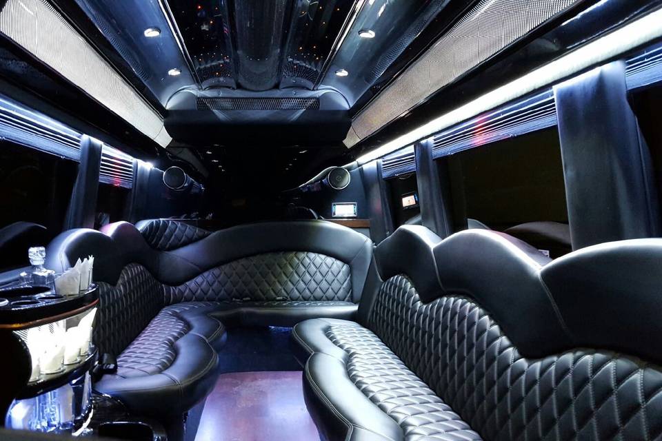 12 Passenger Limo Sprinter