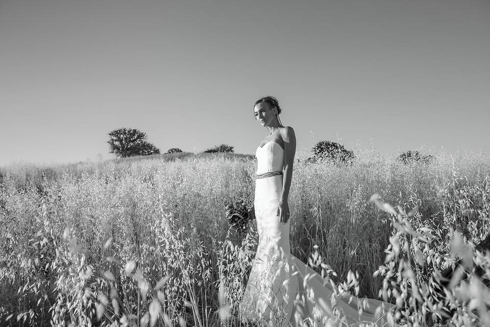 Siouxzen Kang, Los Angeles, CA wedding photographer, born in Texas.  Bride in field in Bradley, California.