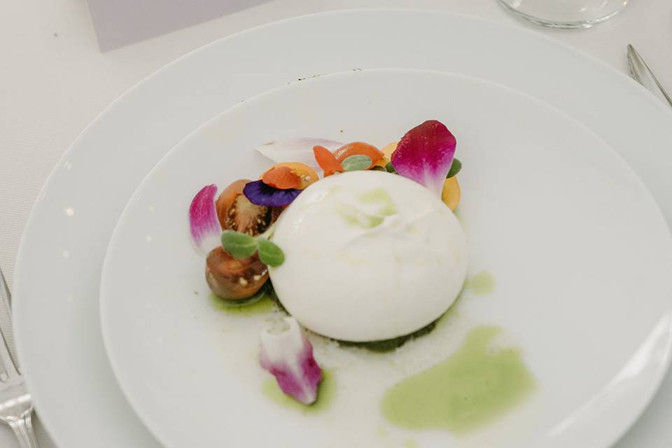 Buratta Appetizer