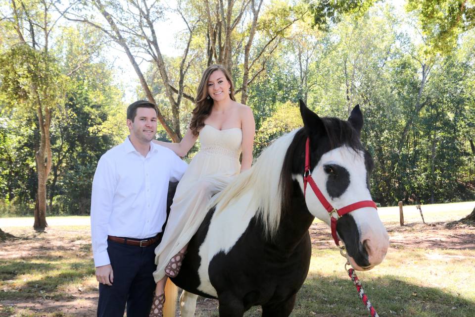 Horse engagement