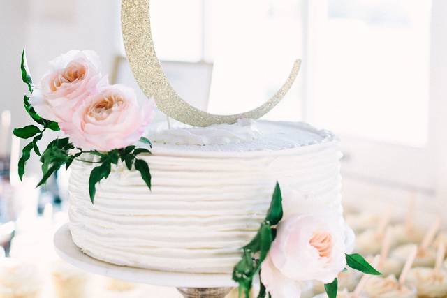 Kristy Roderick Photography