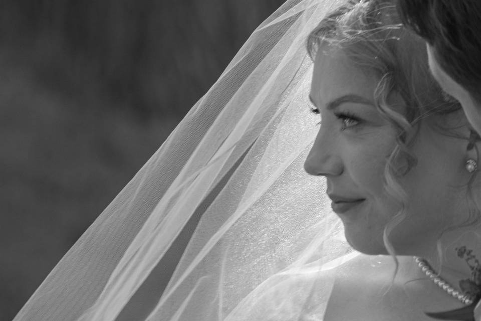 Mandy's Photography