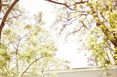 Nautical Beach Wedding