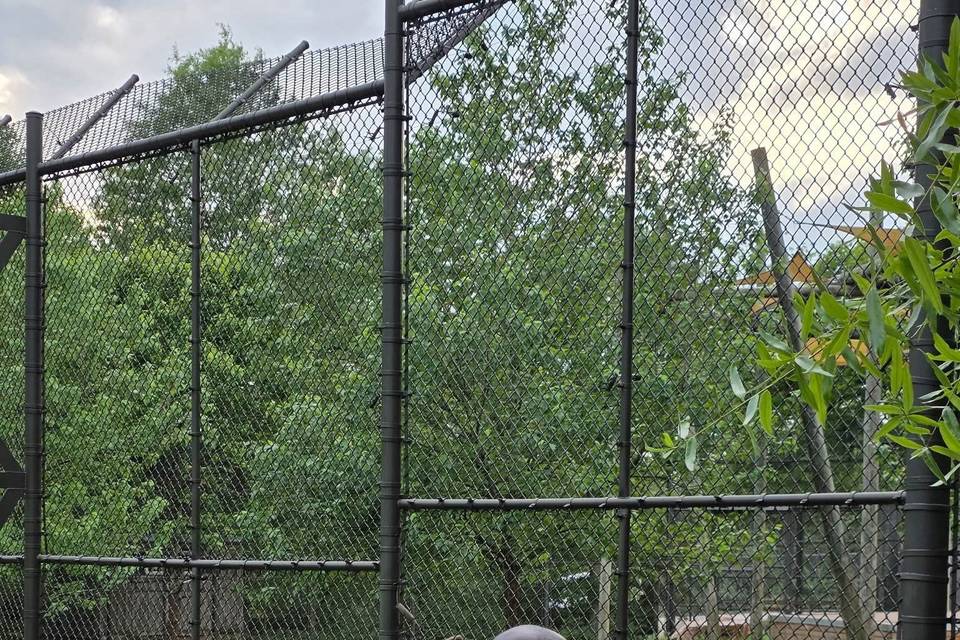 Knoxville Zoo