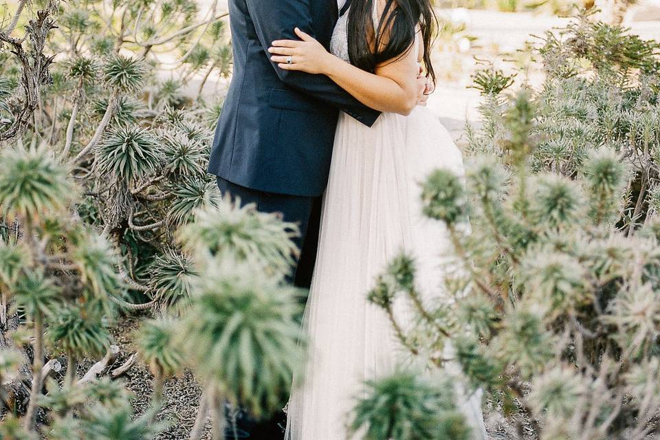 Kissing in the cactus