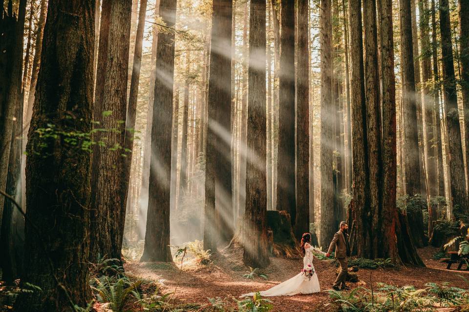 Elopement/Wedding Photographer