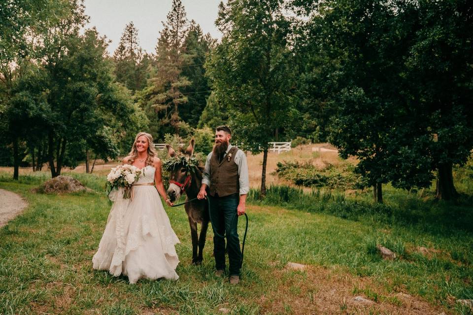 Wedding Portrait