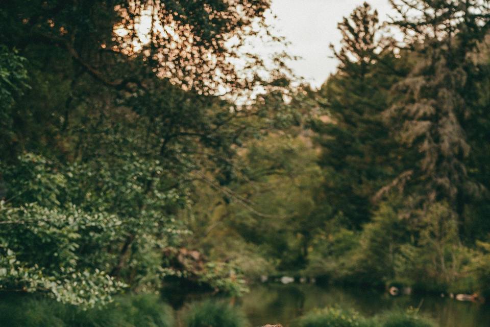 Elopement/Wedding Photographer