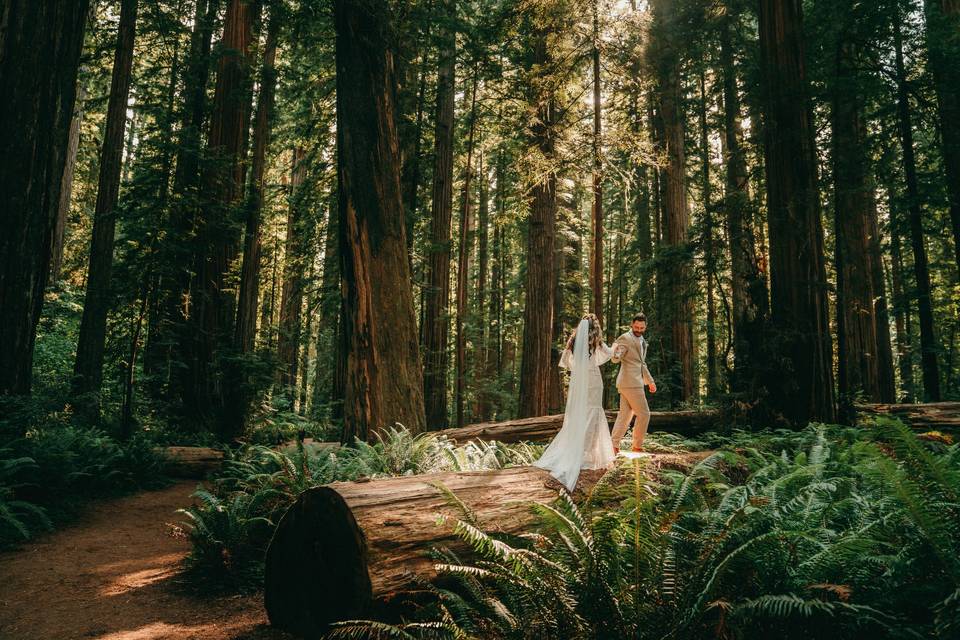 Elopement Photographer