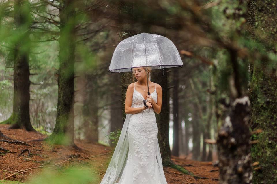 NC Balsam Forest Elopement
